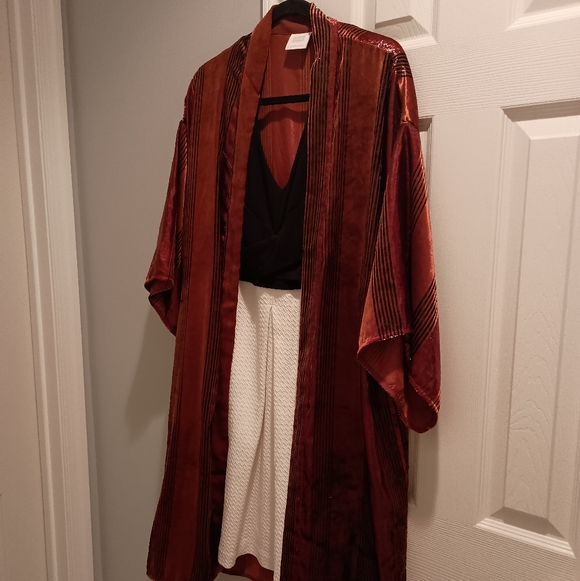Anthropologie ett:twa Burnt Orange Velvet Kimono - Picture 4 of 13